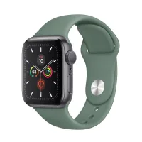 Apple Watch Series 5 Aluminum