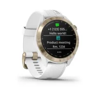 Garmin Approach S40