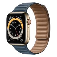 Apple Watch Series 6