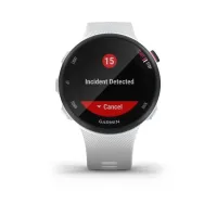 Garmin Forerunner 45S