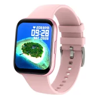 Smarty 2.0 SW033