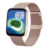 Smarty 2.0 SW033