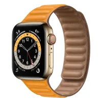 Apple Watch Series 6