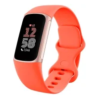 Fitbit Charge 6