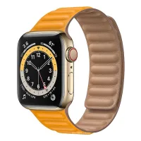 Apple Watch Series 6