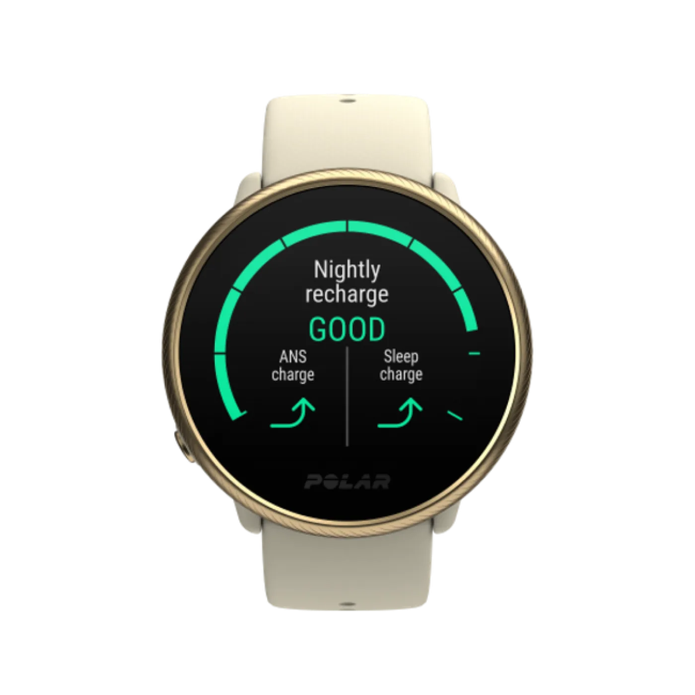 Polar Ignite 2