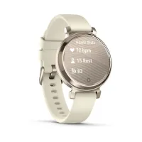 Garmin Lily 2