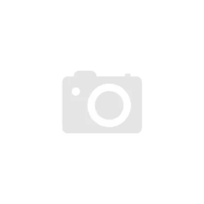 Peaq PSW 300